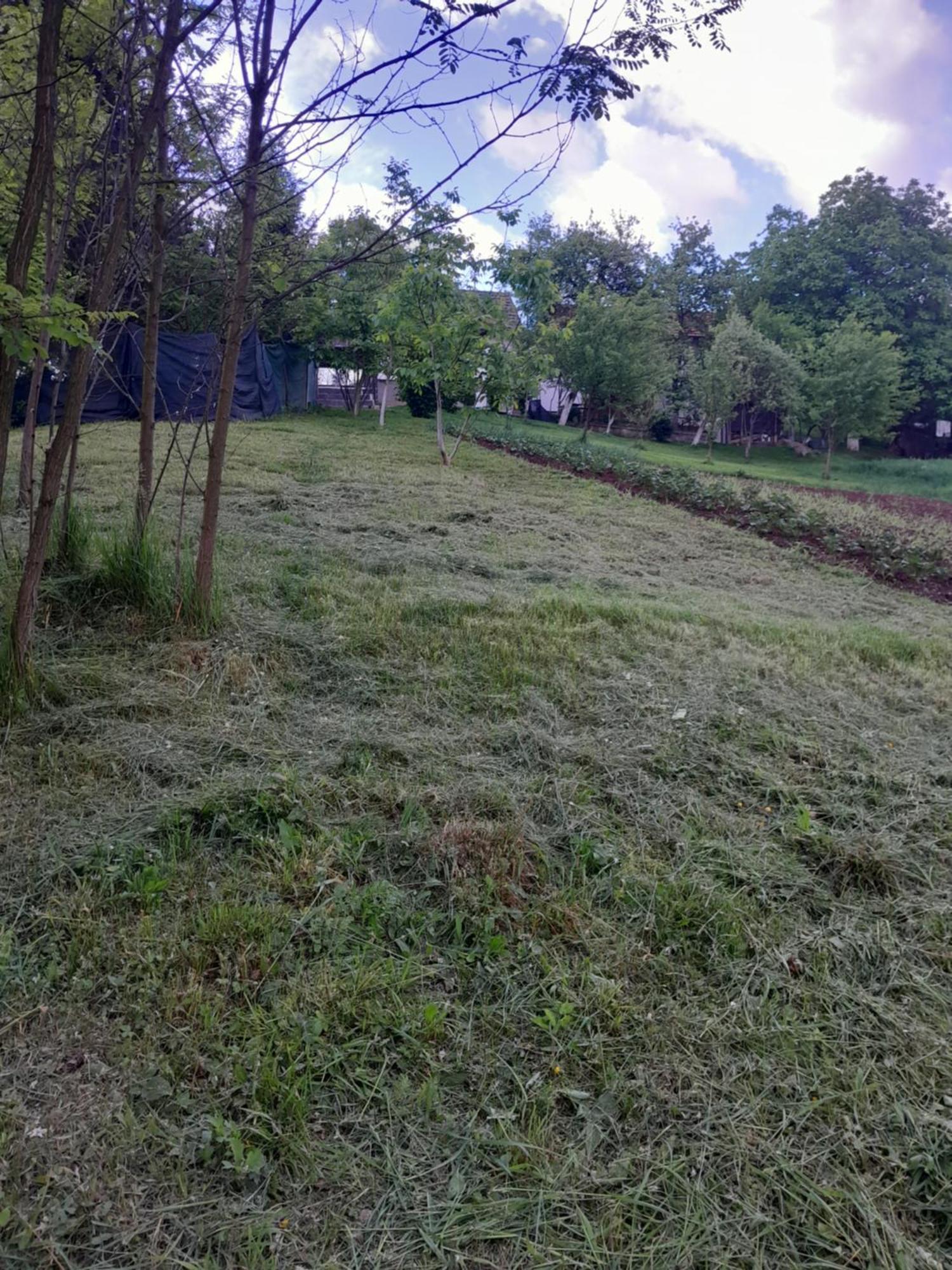 Dolores Tesanj Екстер'єр фото